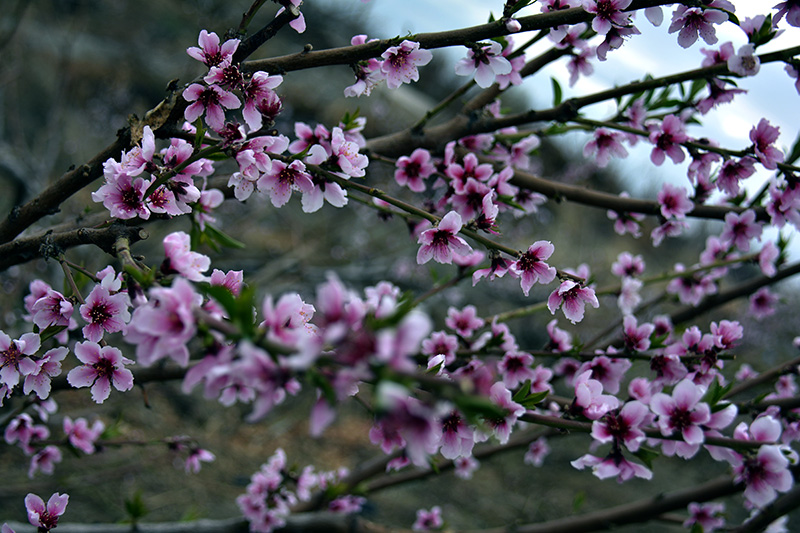 һ 064ab.jpg