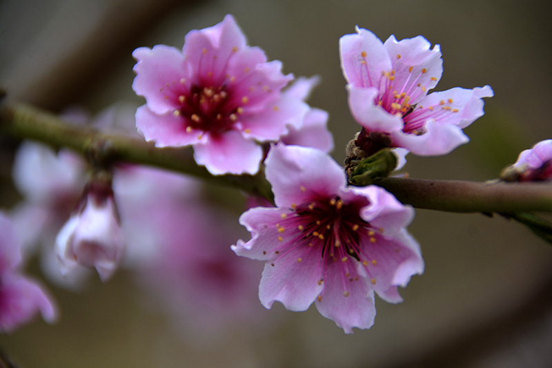 һ 073ab.jpg