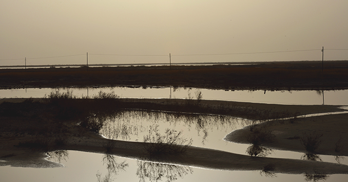 DSC_0246.JPG