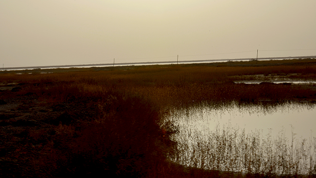 DSC_0248.JPG