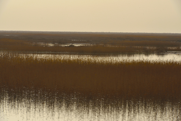 DSC_0258.JPG