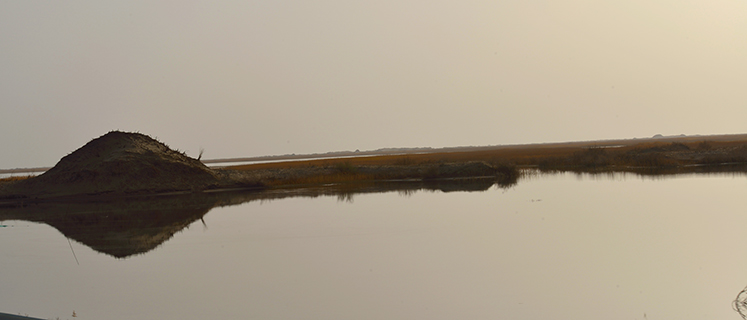 DSC_0267.JPG