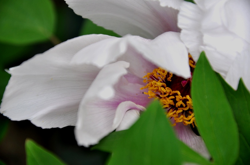 DSC_0002.JPG