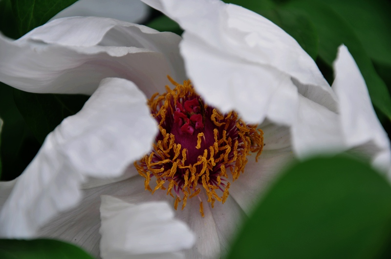 DSC_0013.JPG