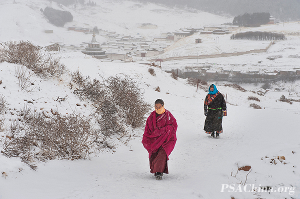 07.Ʒ̤ѩݡPray with Snow.jpg