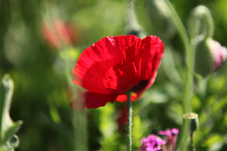 IMG_4982_.jpg