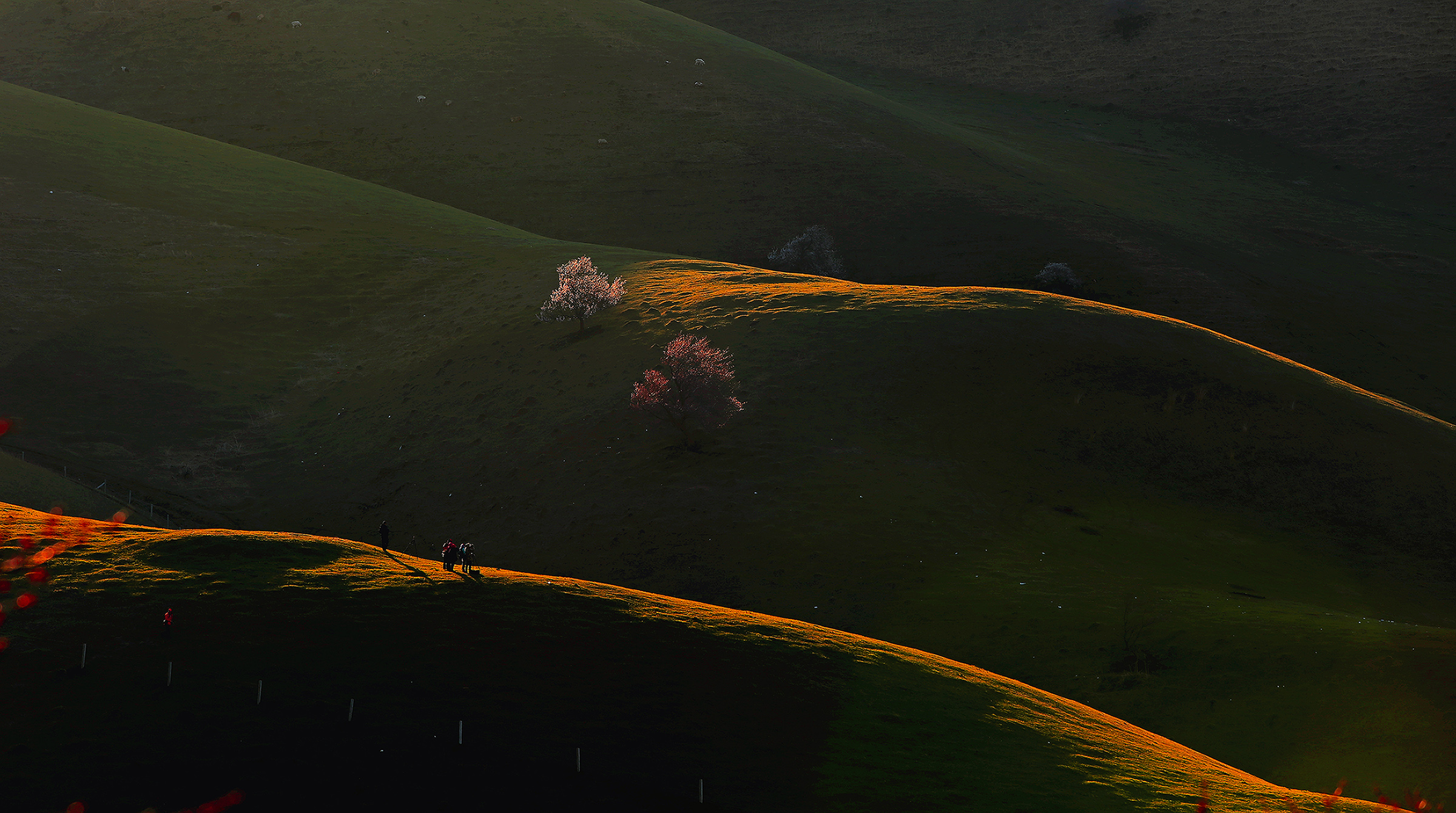 _H6A52051.jpg