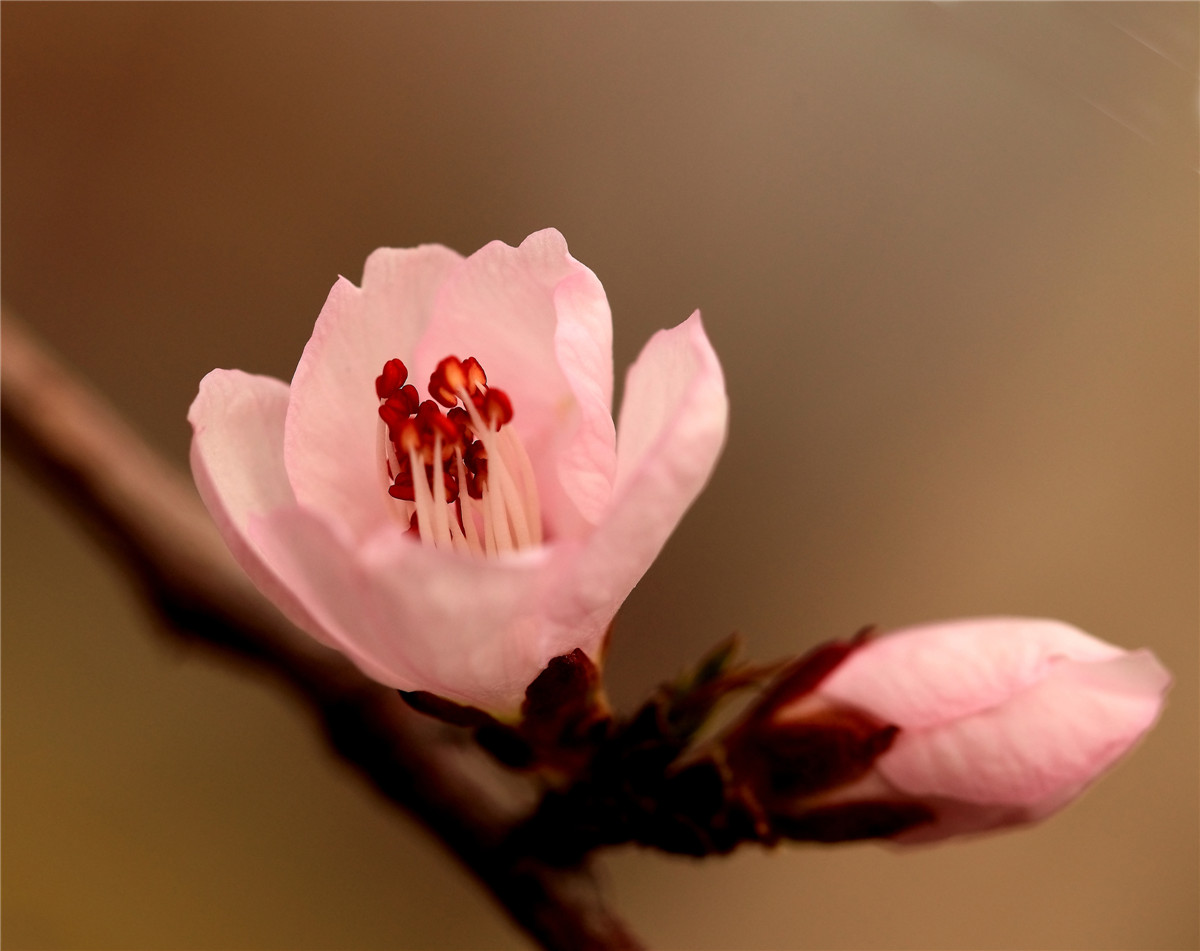 ӻ (1).jpg