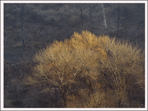 2014320Ƭ 12812.jpg