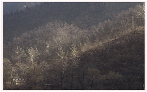 2014320Ƭ 12512.jpg