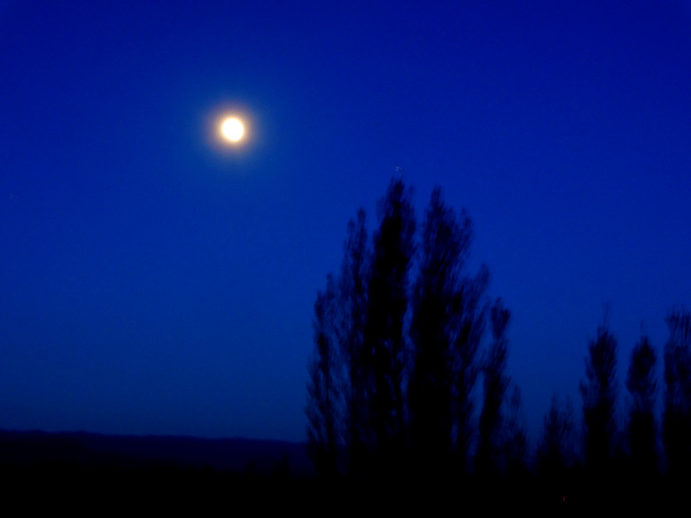 DSC00095_.jpg