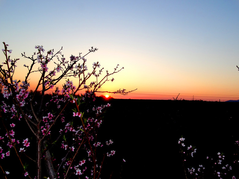 DSC00101_.jpg