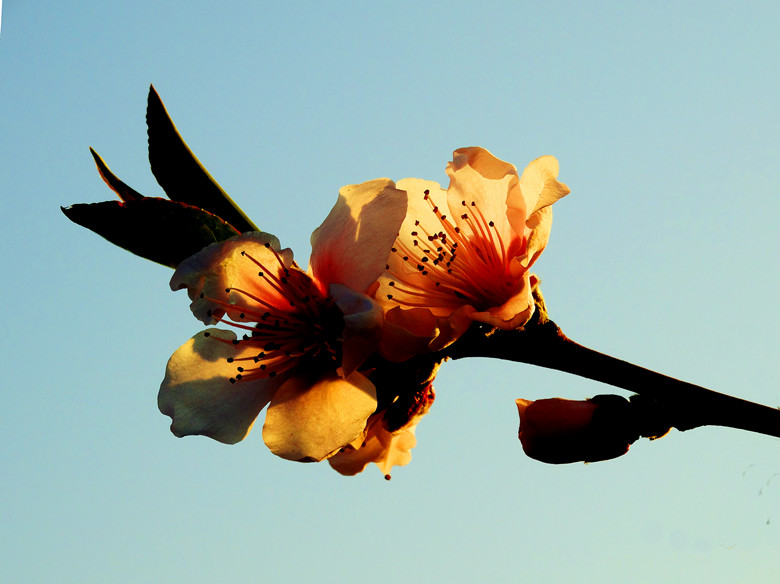 DSC00178_.jpg
