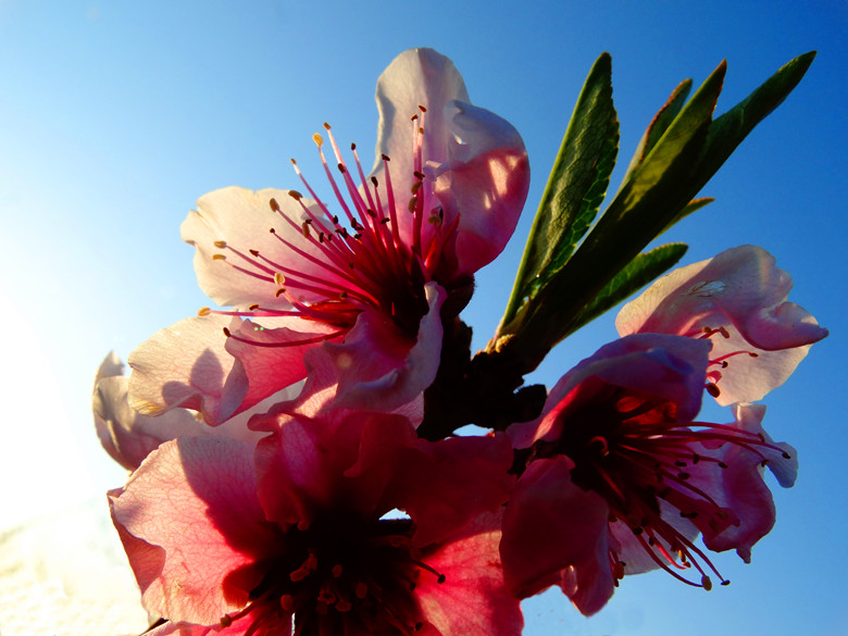DSC00188_.jpg