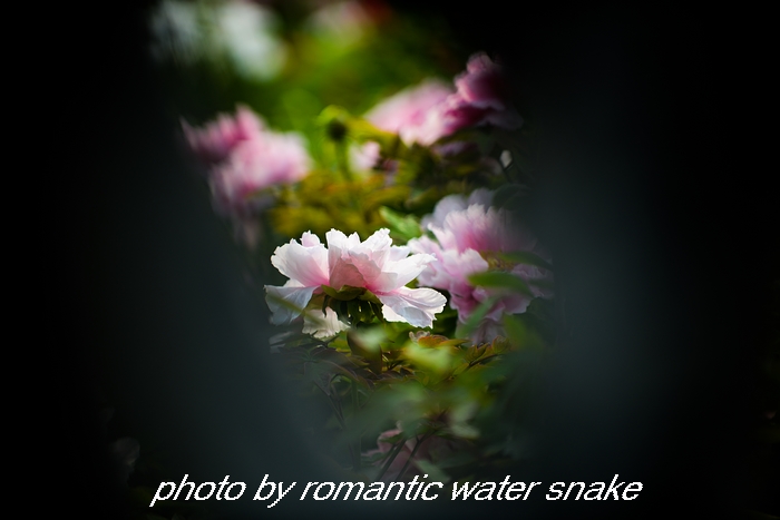 DSC_9633.jpg