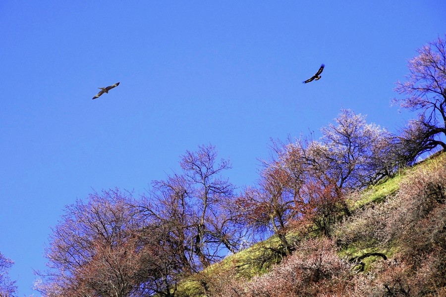 DSC08755_.jpg