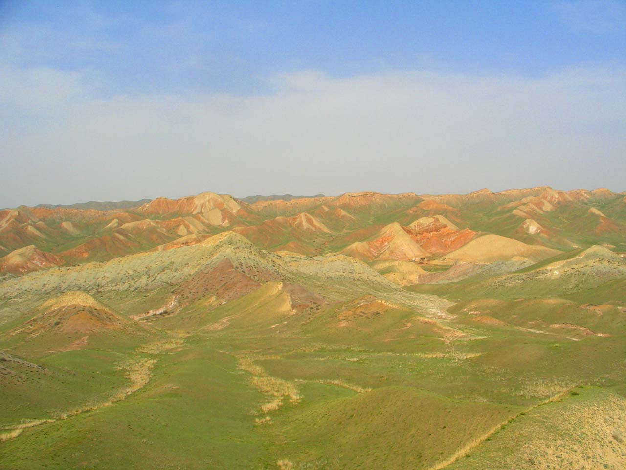 CIMG24880.jpg