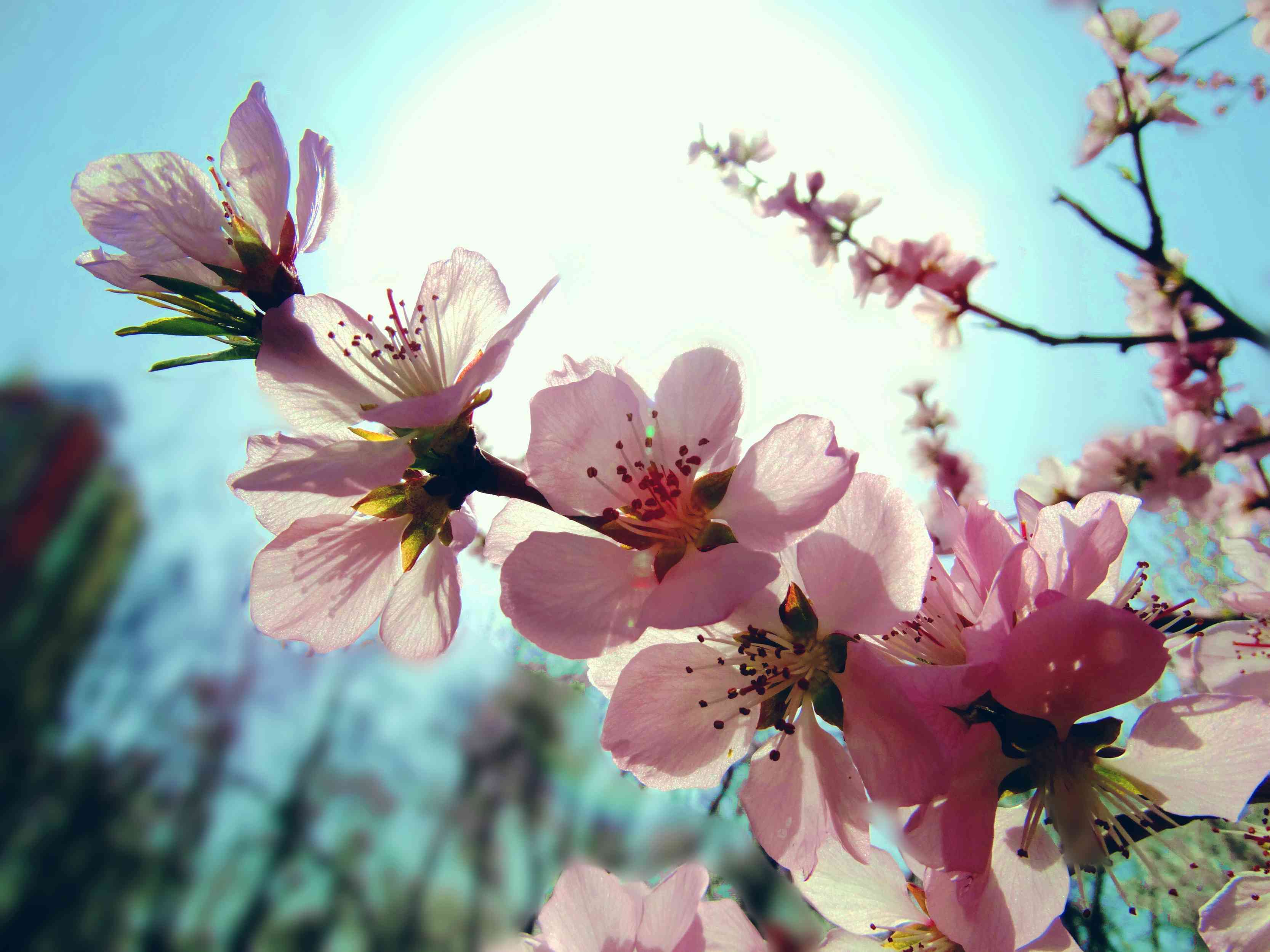 DSC08508_.jpg