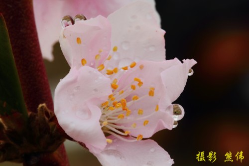 DPP_00052_conew1.jpg