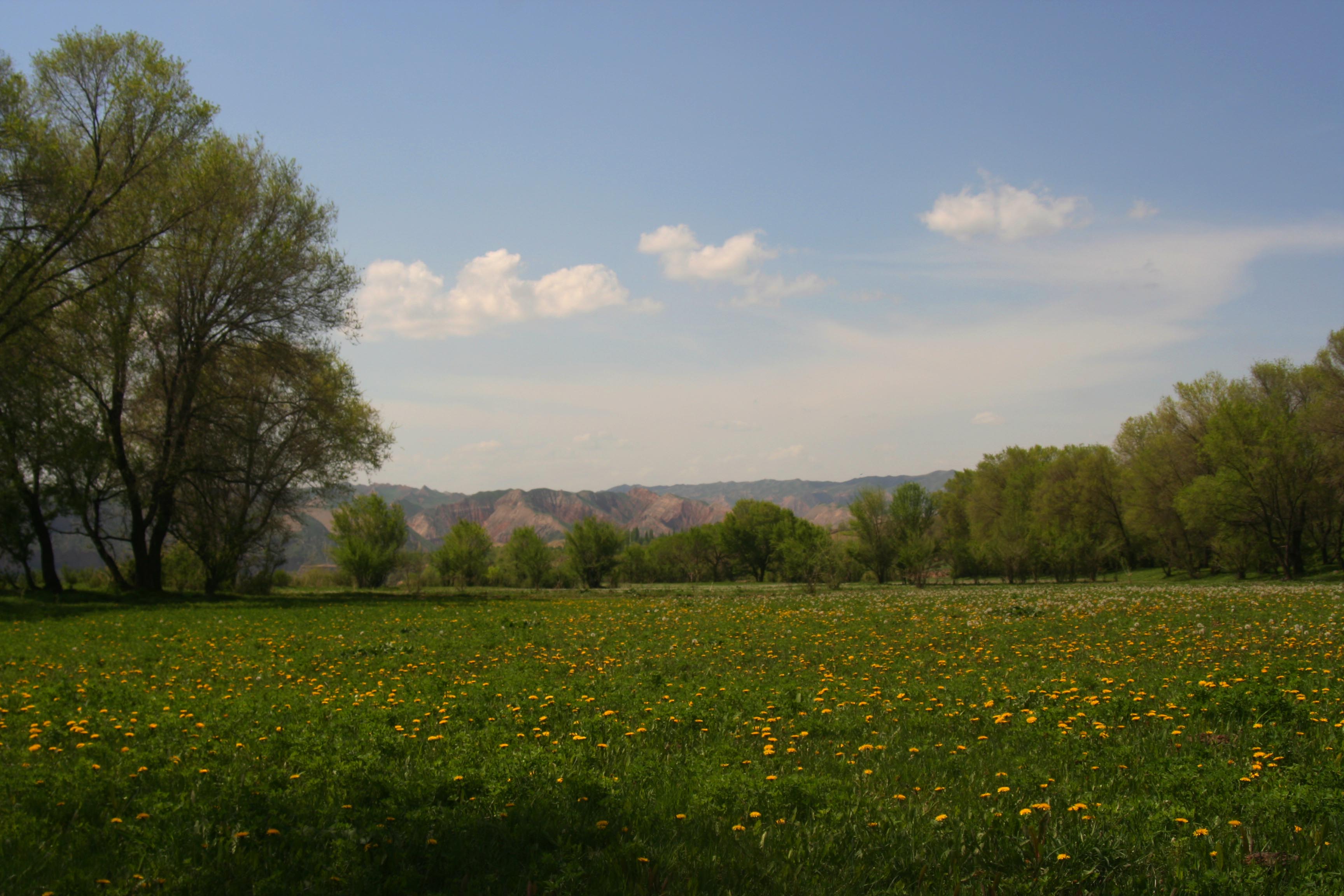 IMG_92170.jpg