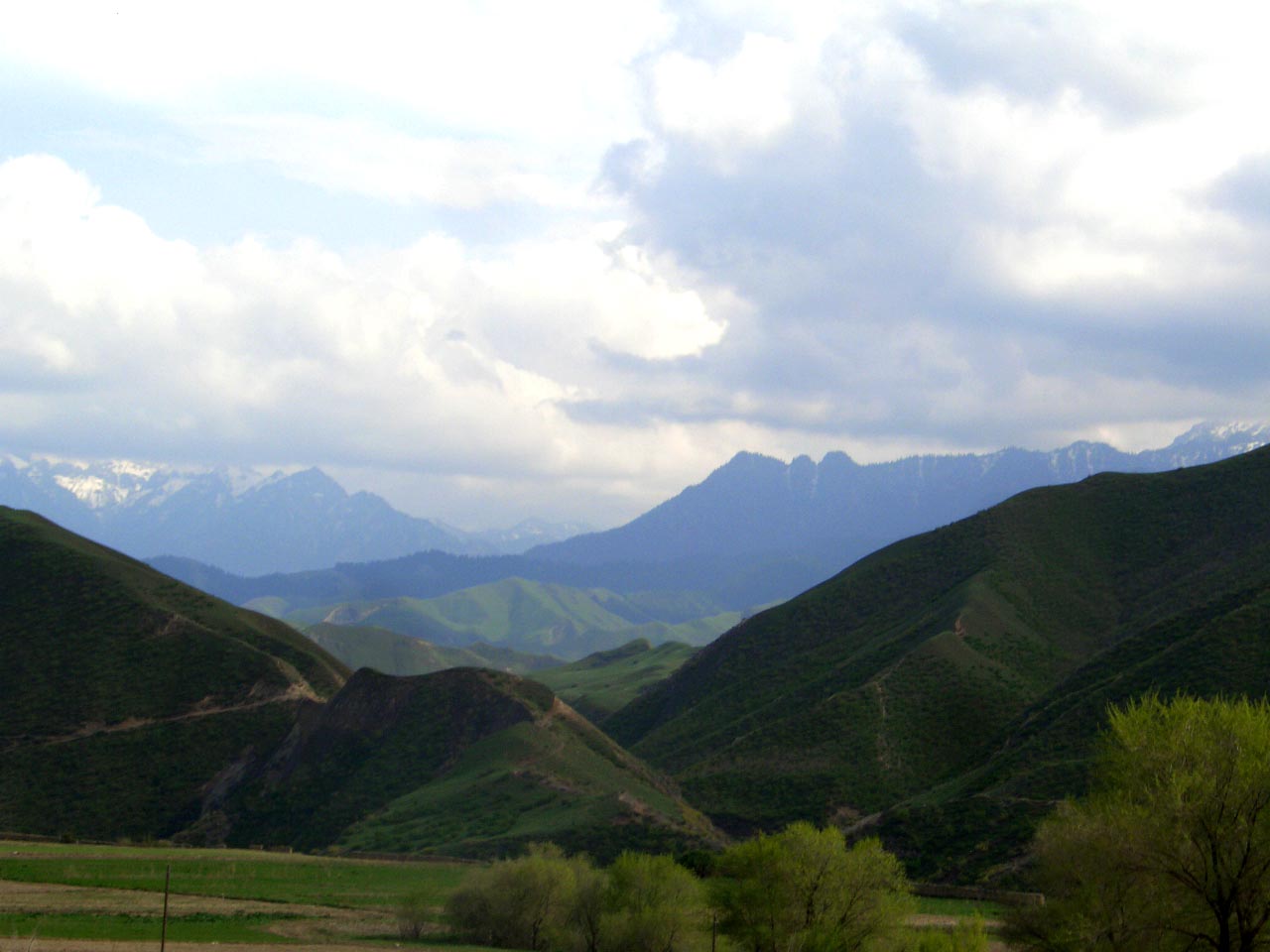 CIMG26330.jpg