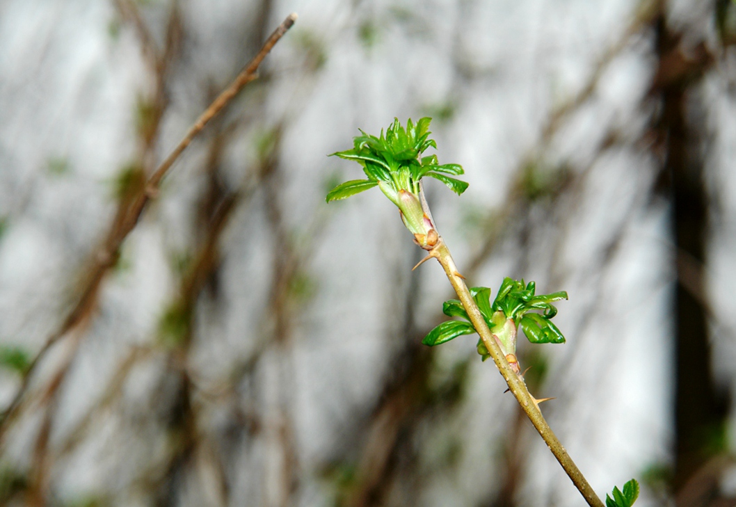 DSC02928___.jpg