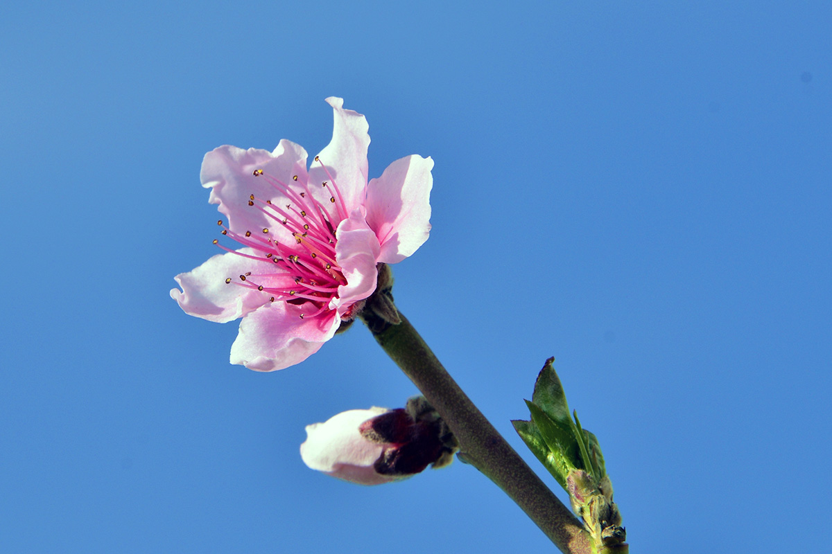 _DSC8960.jpg