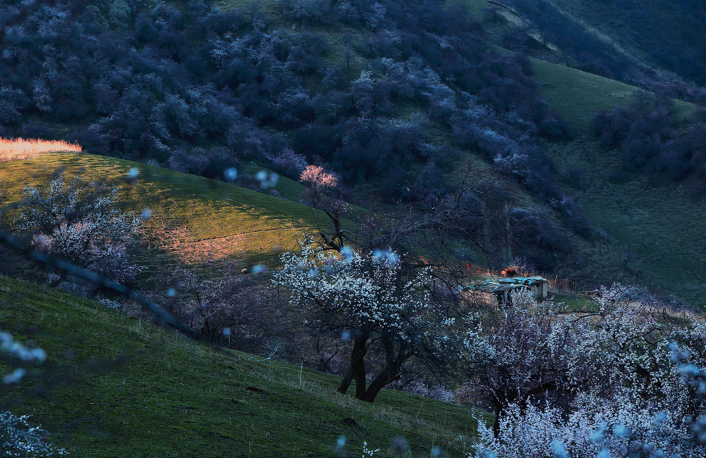 _H6A55151.jpg