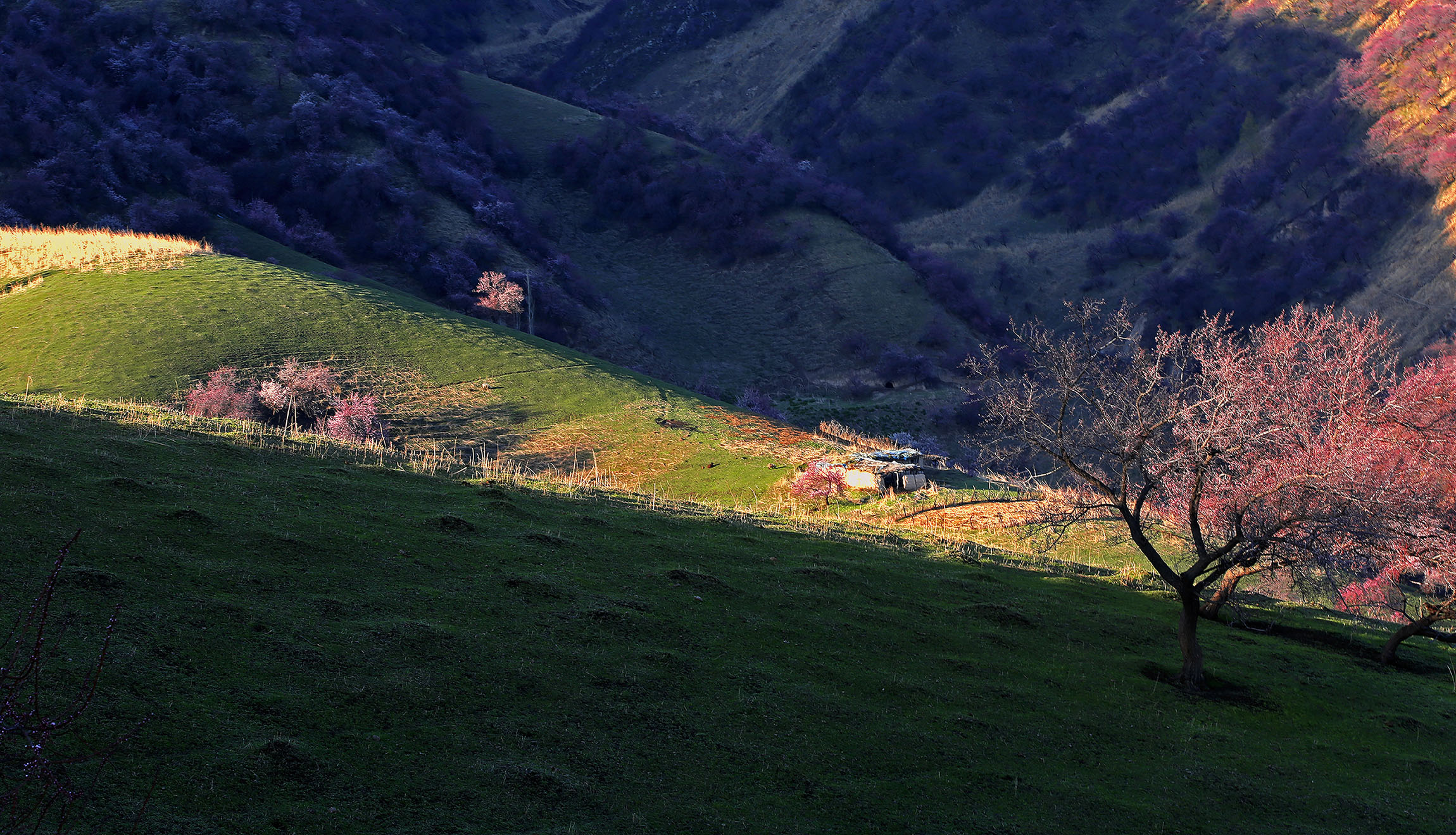 _H6A54851.jpg