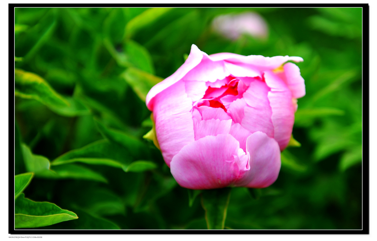 DSC_8722.JPG