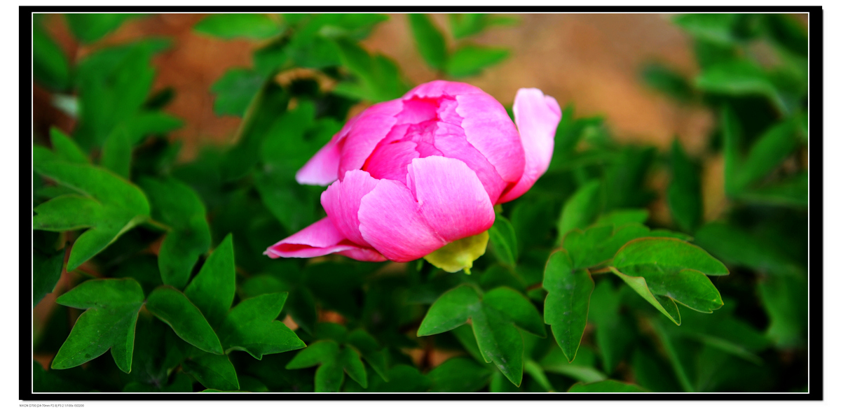 DSC_8723.JPG