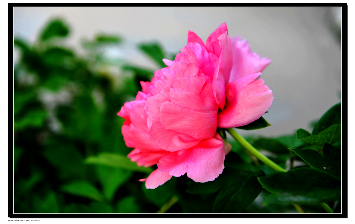 DSC_8724.JPG