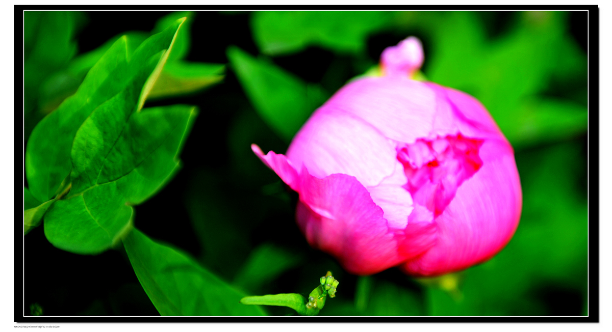 DSC_8727.JPG