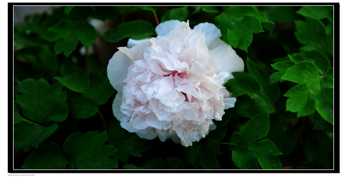 DSC_8728.JPG