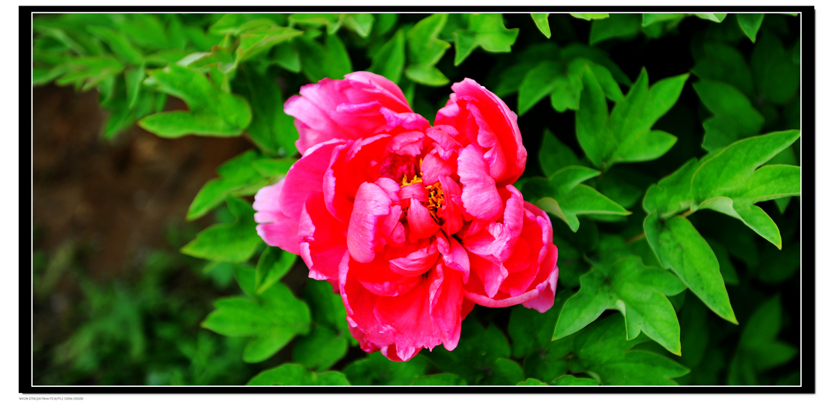 DSC_8731.JPG