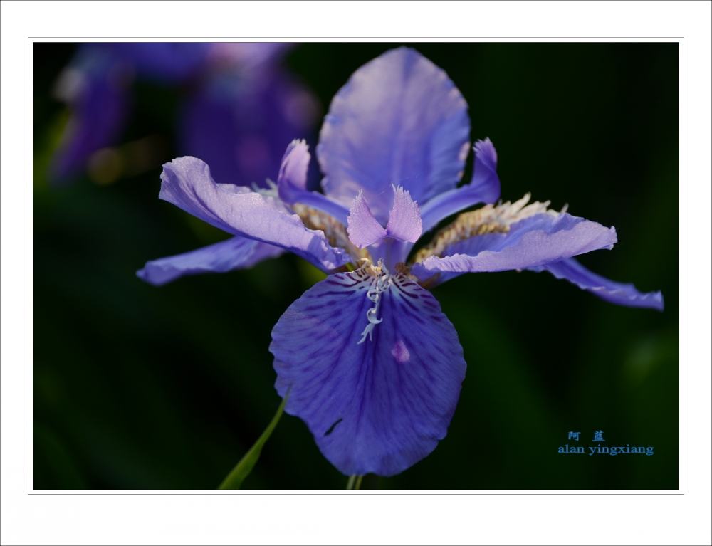Ƭ 012_conew1.jpg