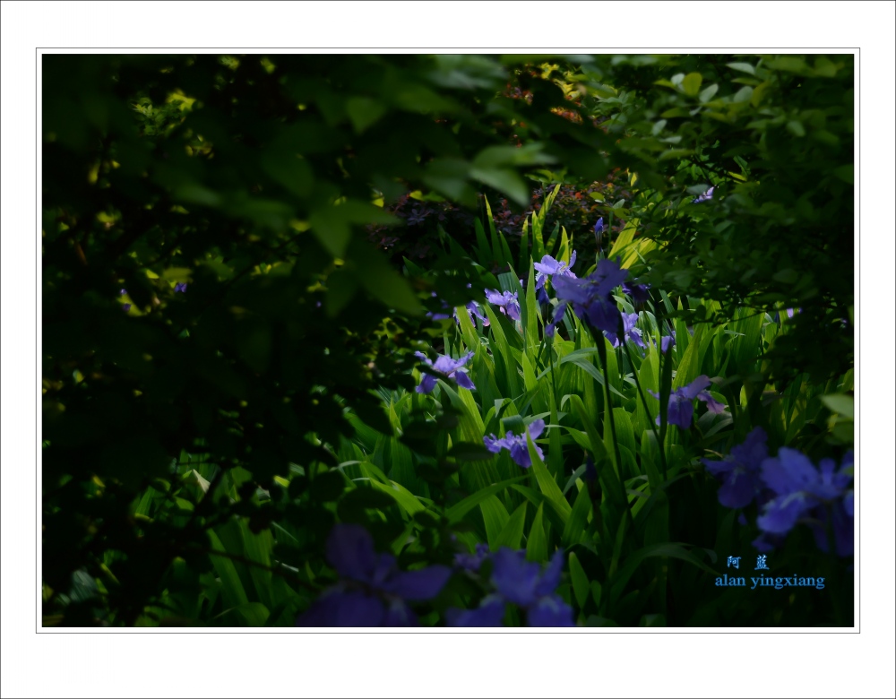 Ƭ 024_conew1.jpg