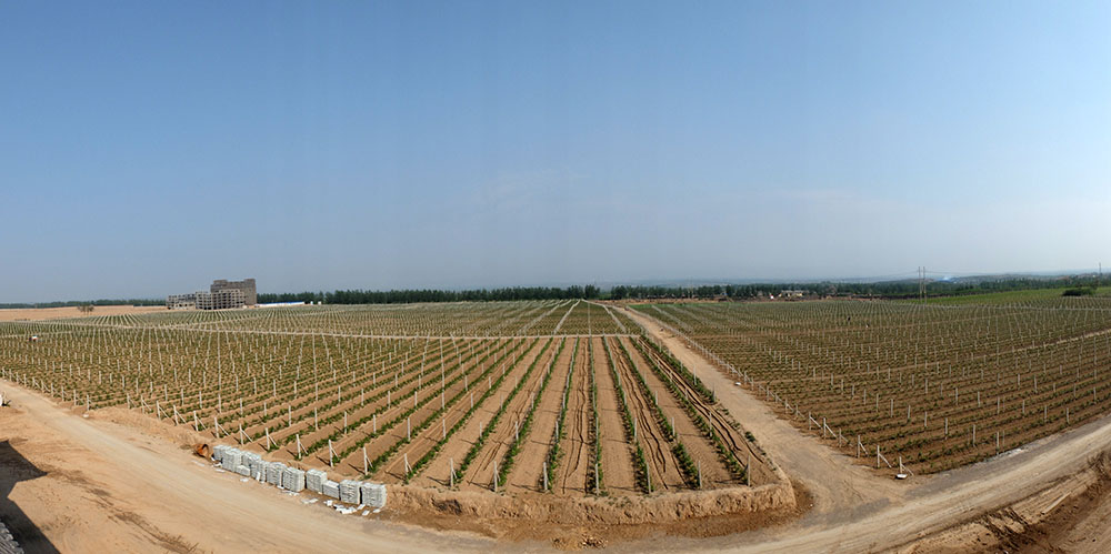 DSCF2147.JPG