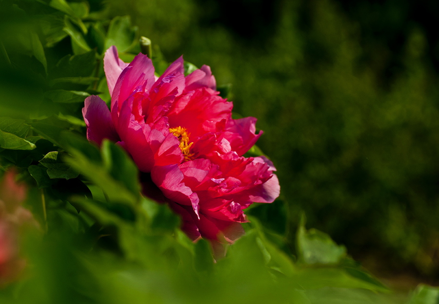 _DSC4566.jpg