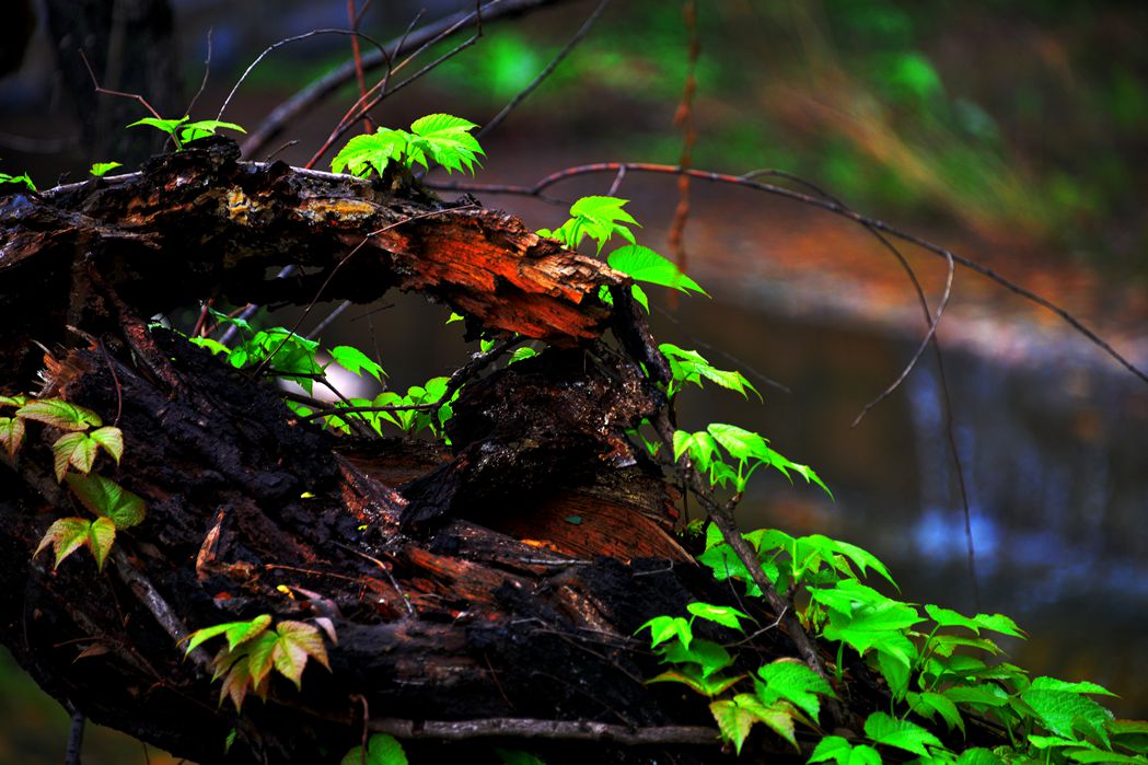 DSC_6735__.jpg