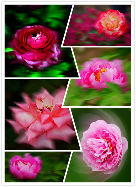 P1010150_.jpg