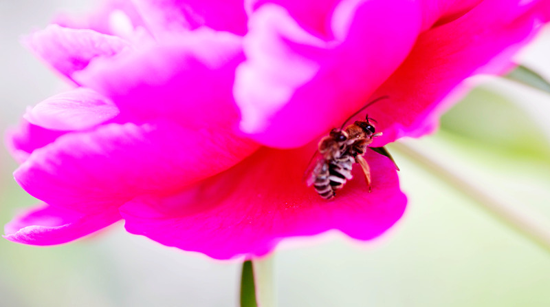 IMG_7162_.jpg