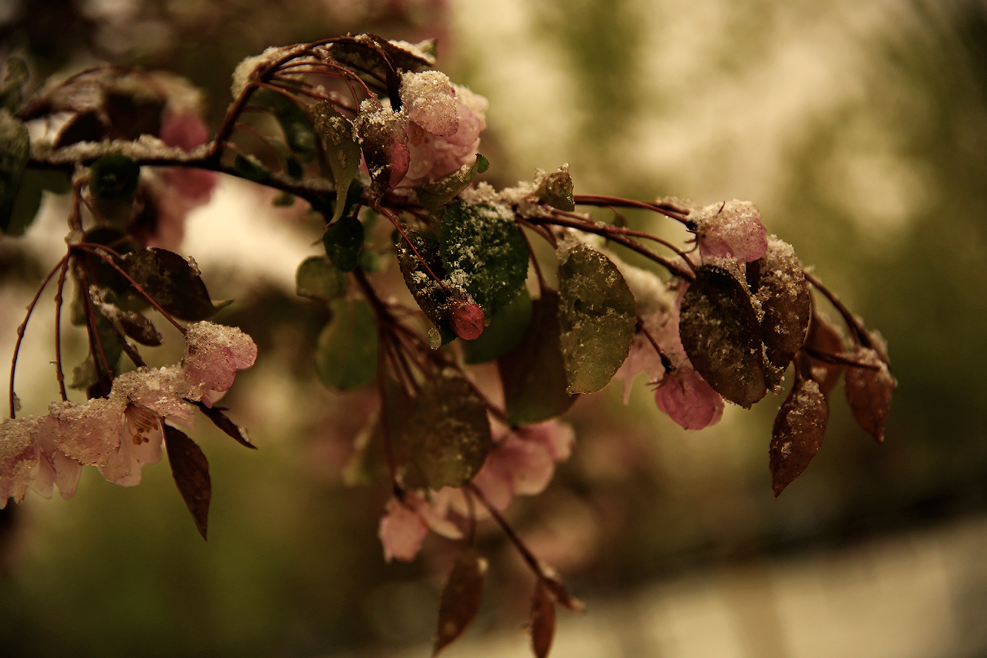 _H6A56461.jpg