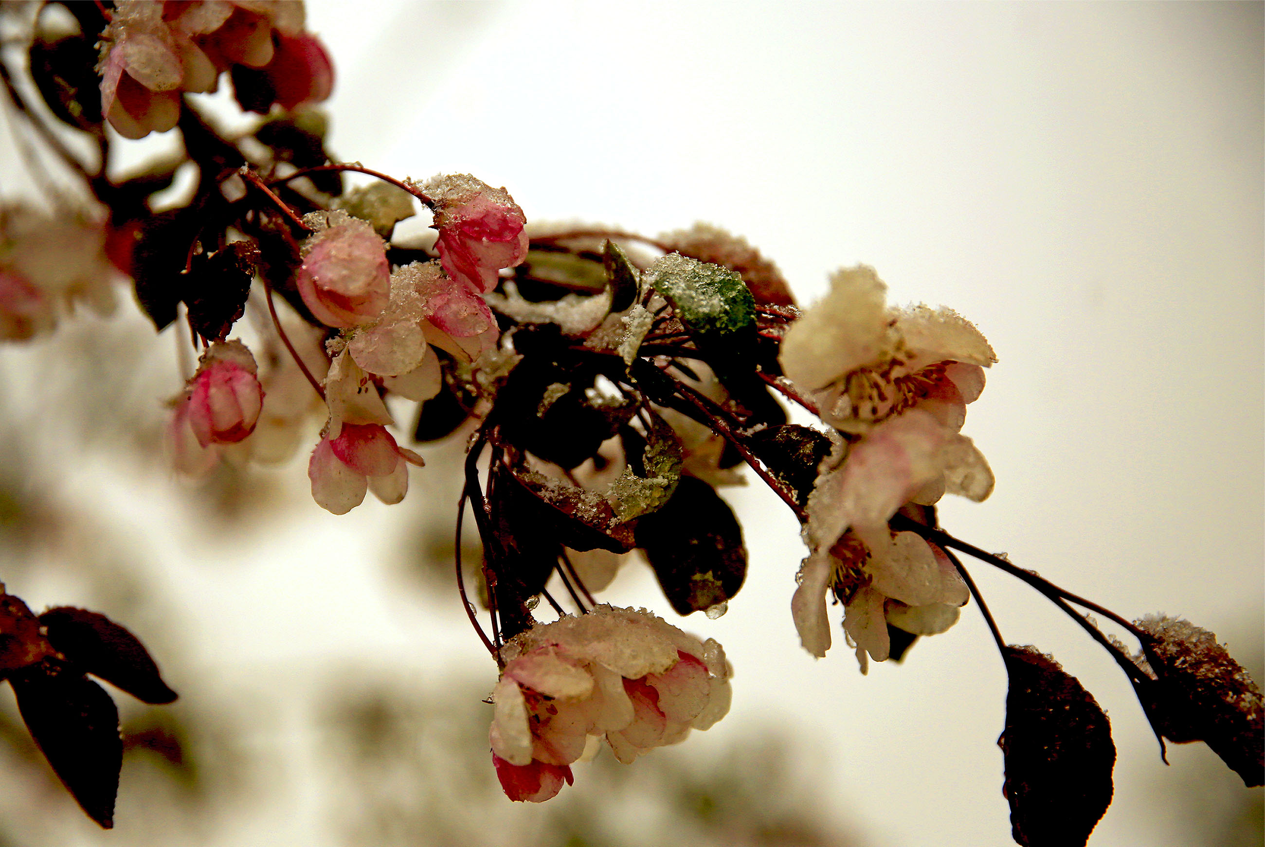 _H6A563212.jpg