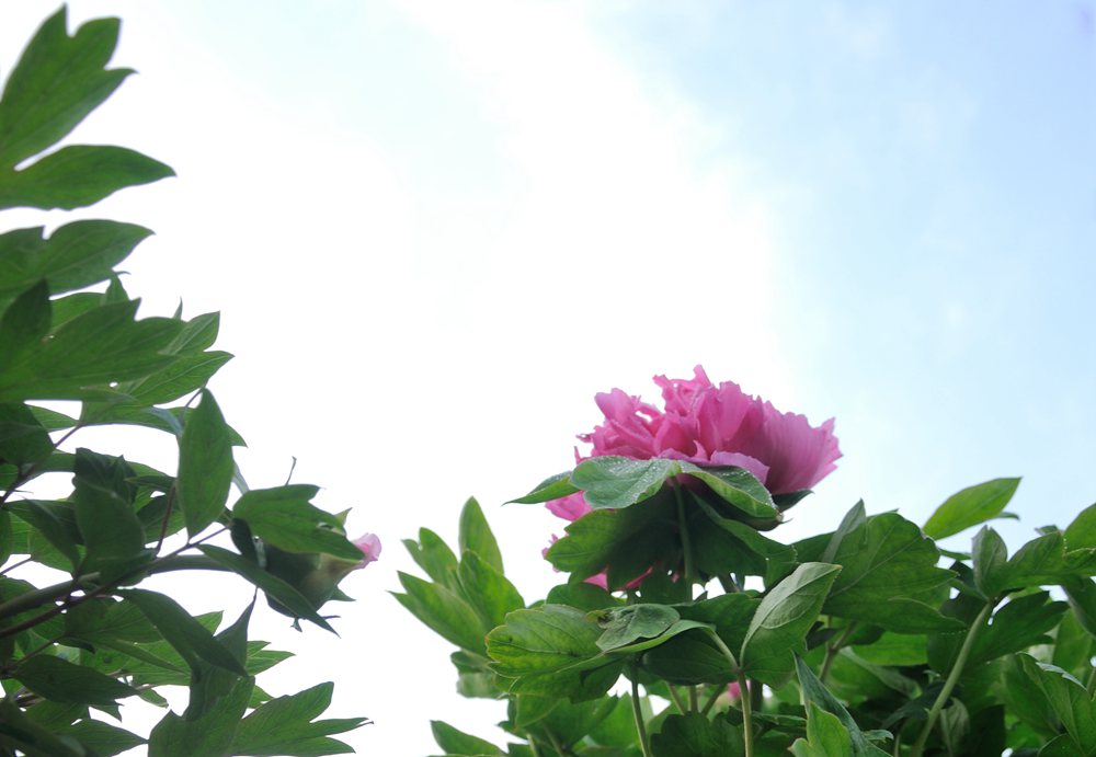 DSC_01415_.jpg