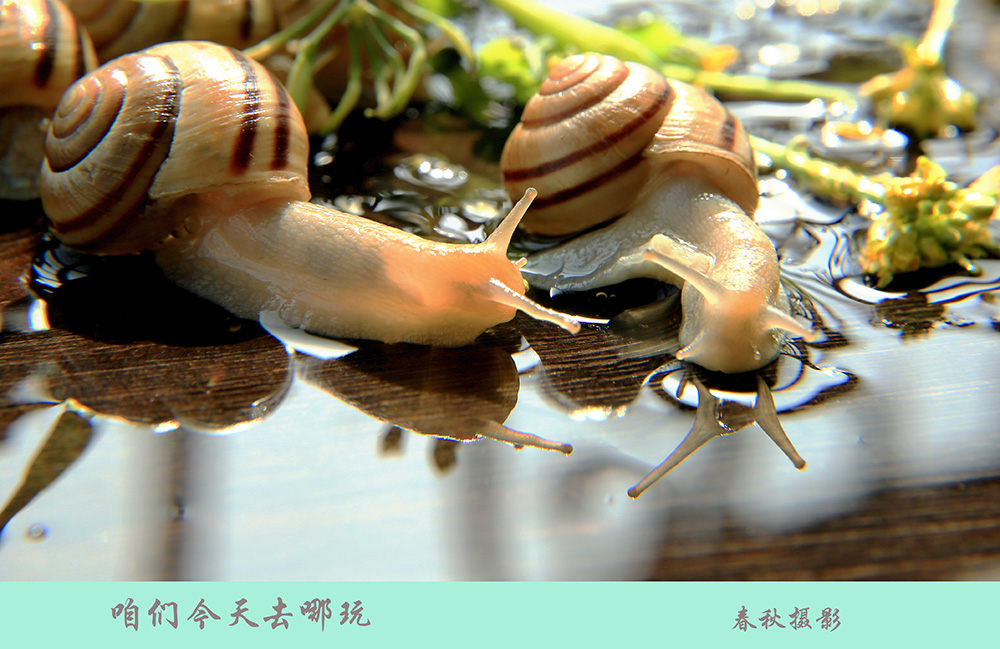 C43A0907-1.jpg