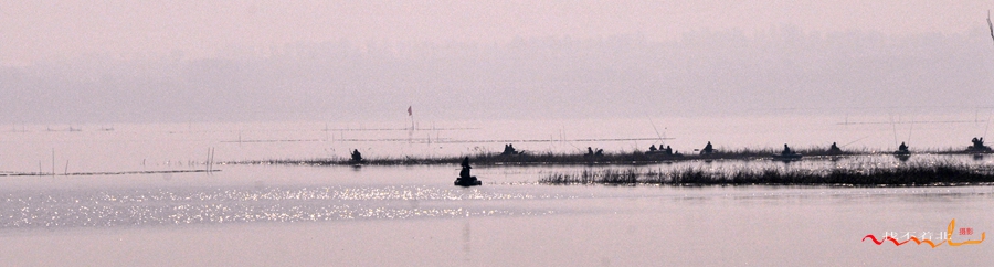 _DSC3650.jpg