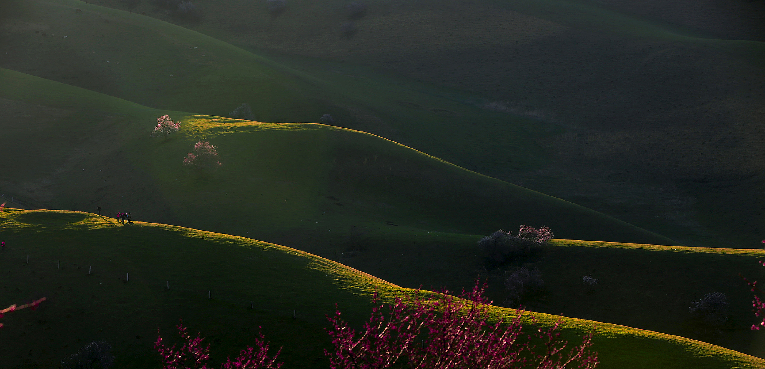_H6A52041.jpg