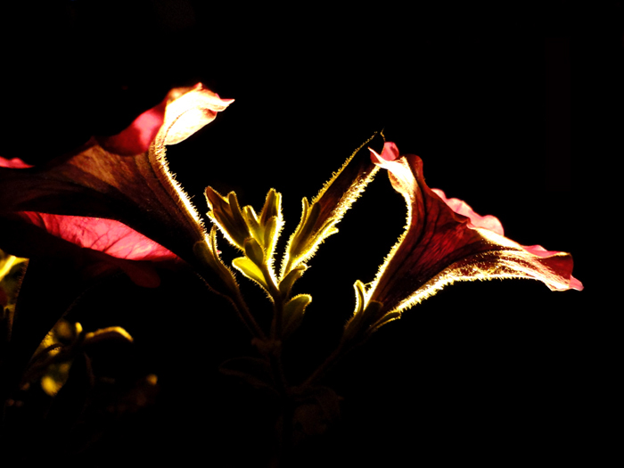 DSC03546BСƬ.jpg