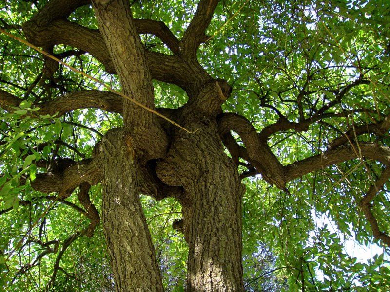 DSC03195-0.jpg